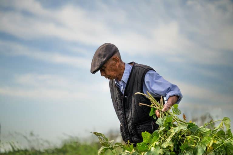 Famille d'agriculteurs français consultant un notaire pour succession terres agricoles indivision